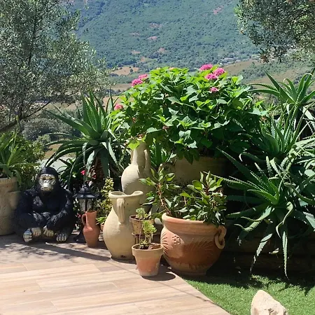Paradisu Ajaccio Ferienhaus Appietto