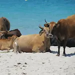 Paradisu Ajaccio Appietto