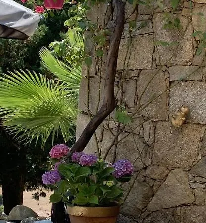 Paradisu Ajaccio Hébergement de vacances *