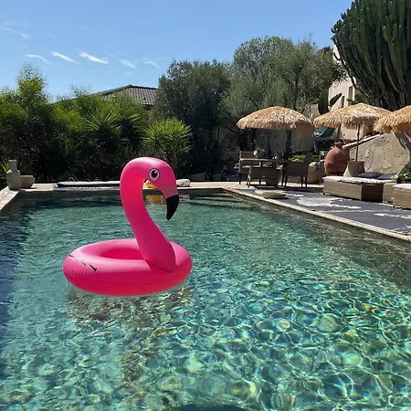 Paradisu Ajaccio Hébergement de vacances *