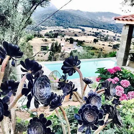 Paradisu Ajaccio * Appietto