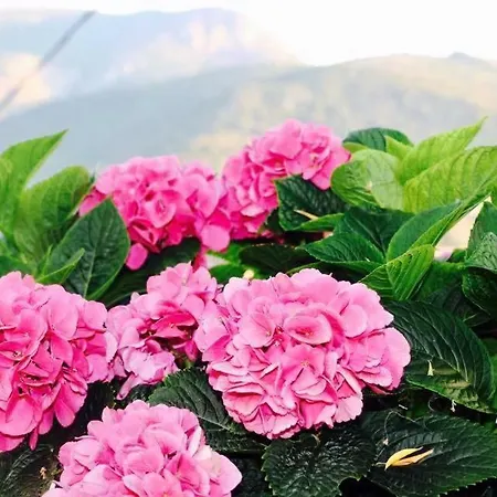 Paradisu Ajaccio * Appietto