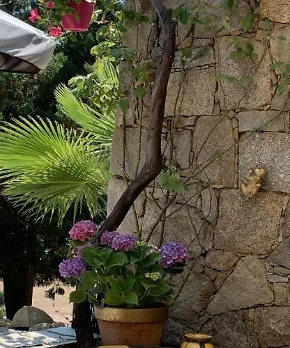 Paradisu Ajaccio 別荘 *