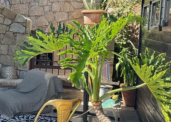 別荘 Paradisu Ajaccio