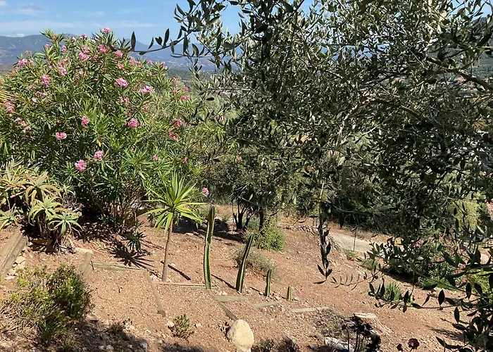 Paradisu Ajaccio * アピエット