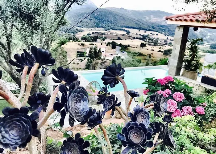 Paradisu Ajaccio * アピエット