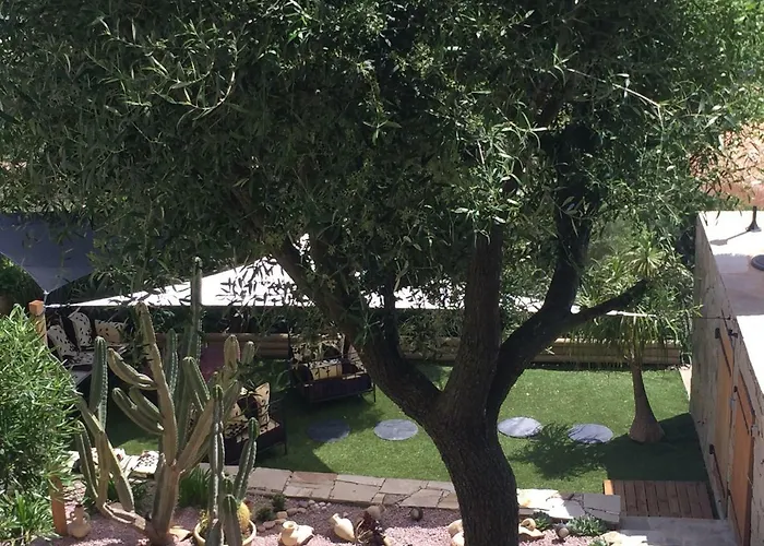 Paradisu Ajaccio * アピエット